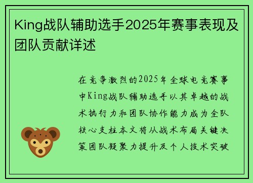 King战队辅助选手2025年赛事表现及团队贡献详述